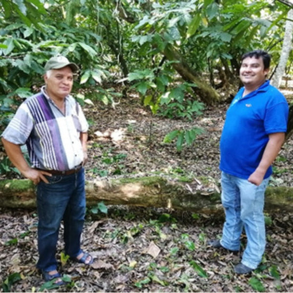 Mexico Agua Escondida Comalcalco Direct Trade 2025