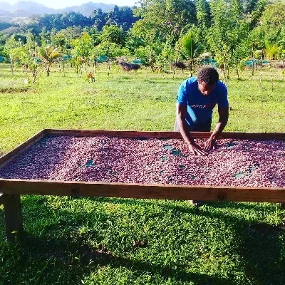 Fiji Rakiraki Direct Trade 2026