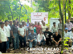 Mexico Camino Cacao Direct Trade 2023