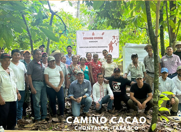 Mexico Camino Cacao Direct Trade 2025