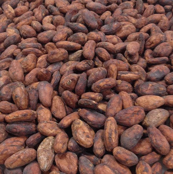 Ecuador Costa Esmeraldas Direct Trade 2026