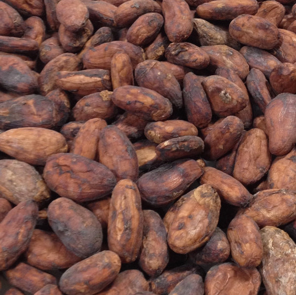 A close-up image of roasted cocoa beans with a range of auburn to dark brown colors, indicating a fully developed state ready for grinding into cocoa powder.