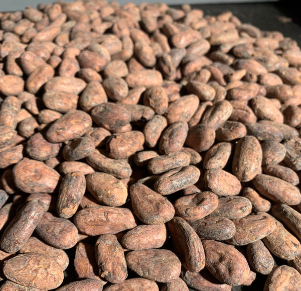 Mexico Camino Cacao Direct Trade 2025