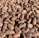 Mexico Camino Cacao Direct Trade 2023