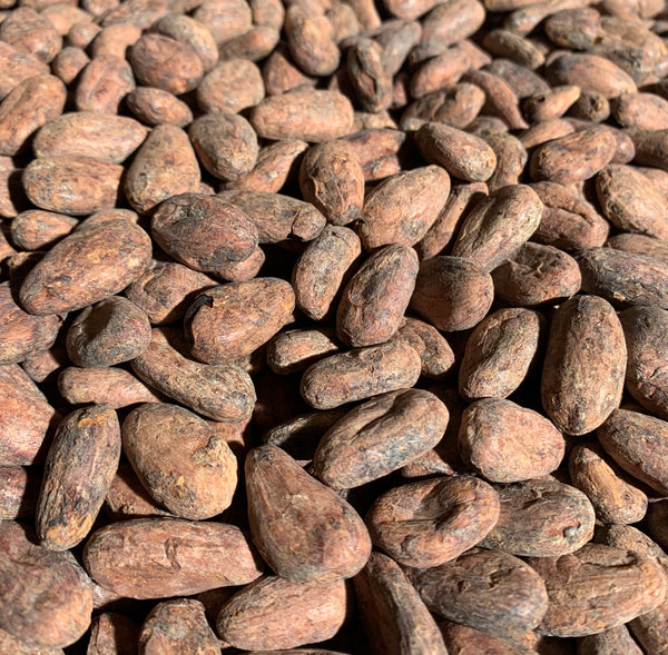 Mexico Camino Cacao Direct Trade 2025
