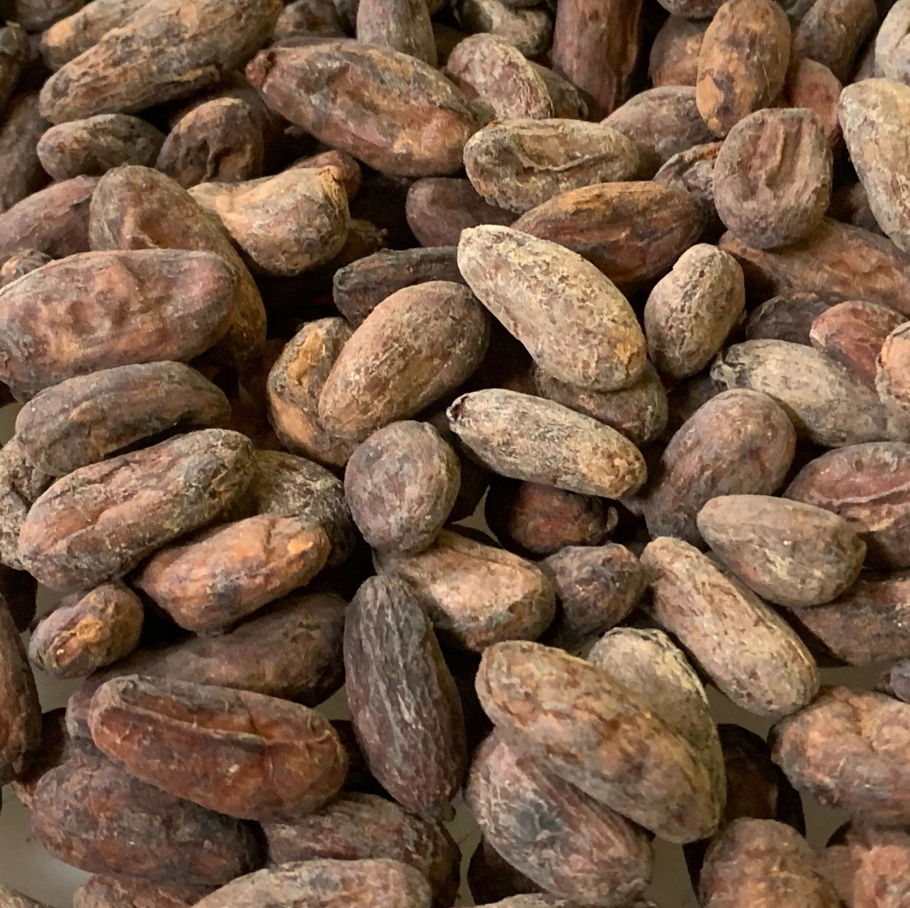 Bolivia - Heirloom #1 Felix Paredes 2025 - Direct Trade