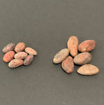 Bolivia Wild Harvest Tranquilidad Direct Trade 2026