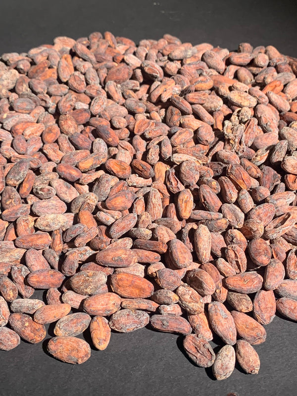 Bolivia Wild Harvest Tranquilidad Direct Trade 2026