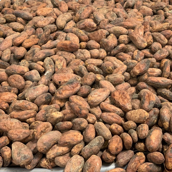 Cocoa beans in a container with a blurred background