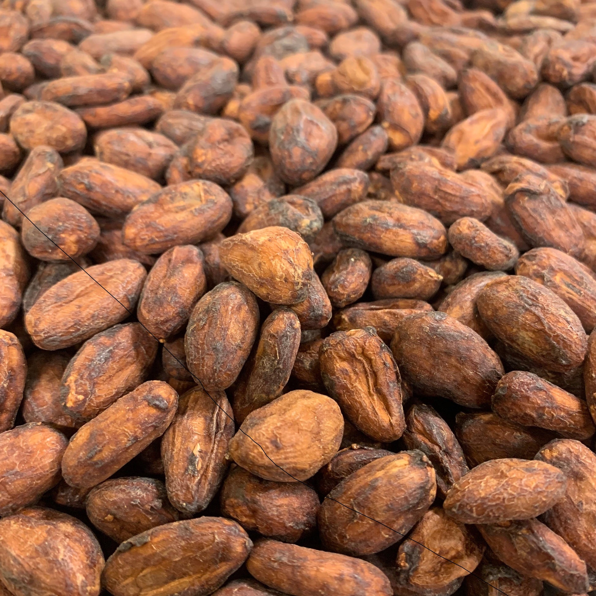 Mexico Agua Escondida Comalcalco Direct Trade 2025