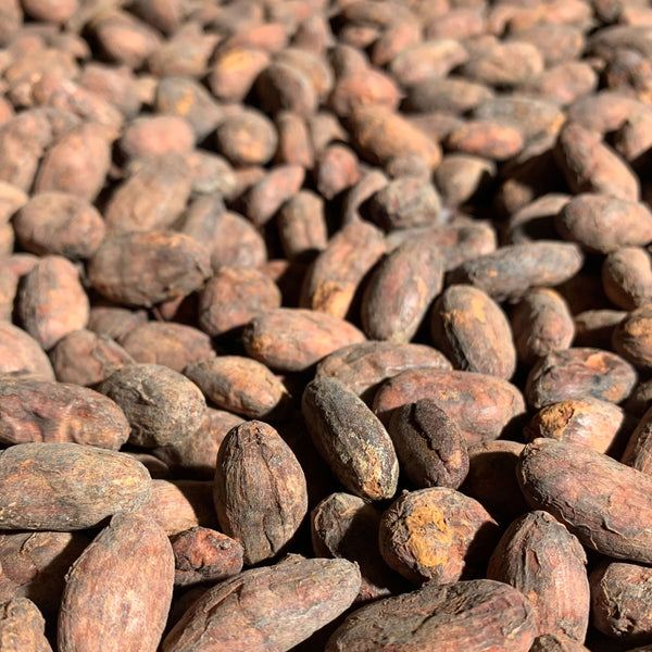 Close-up of a pile of brown cacao beans