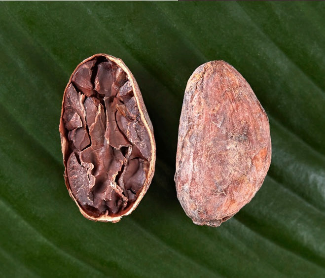 Tanzania Udzungwa Organic 2024 - Cacao Latitudes