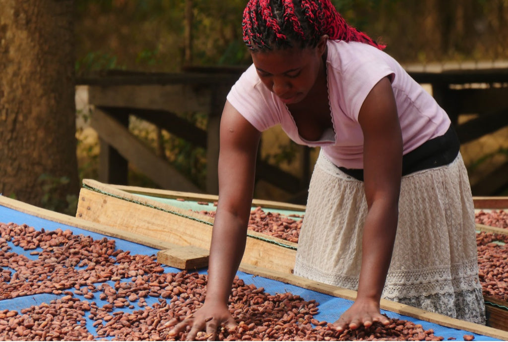 Tanzania Udzungwa Organic 2024 - Cacao Latitudes