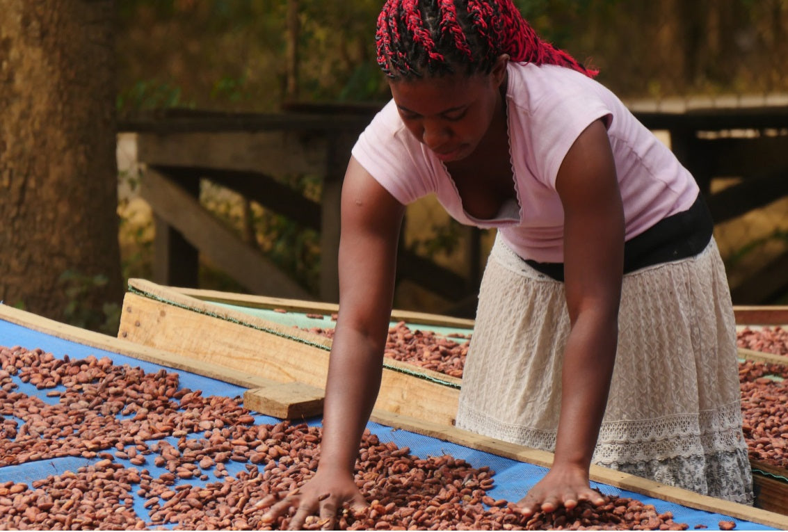 Tanzania Udzungwa Organic 2024 - Cacao Latitudes