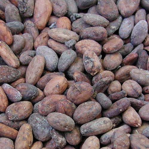 Uganda Semuliki Forest Direct Trade Organic 2025