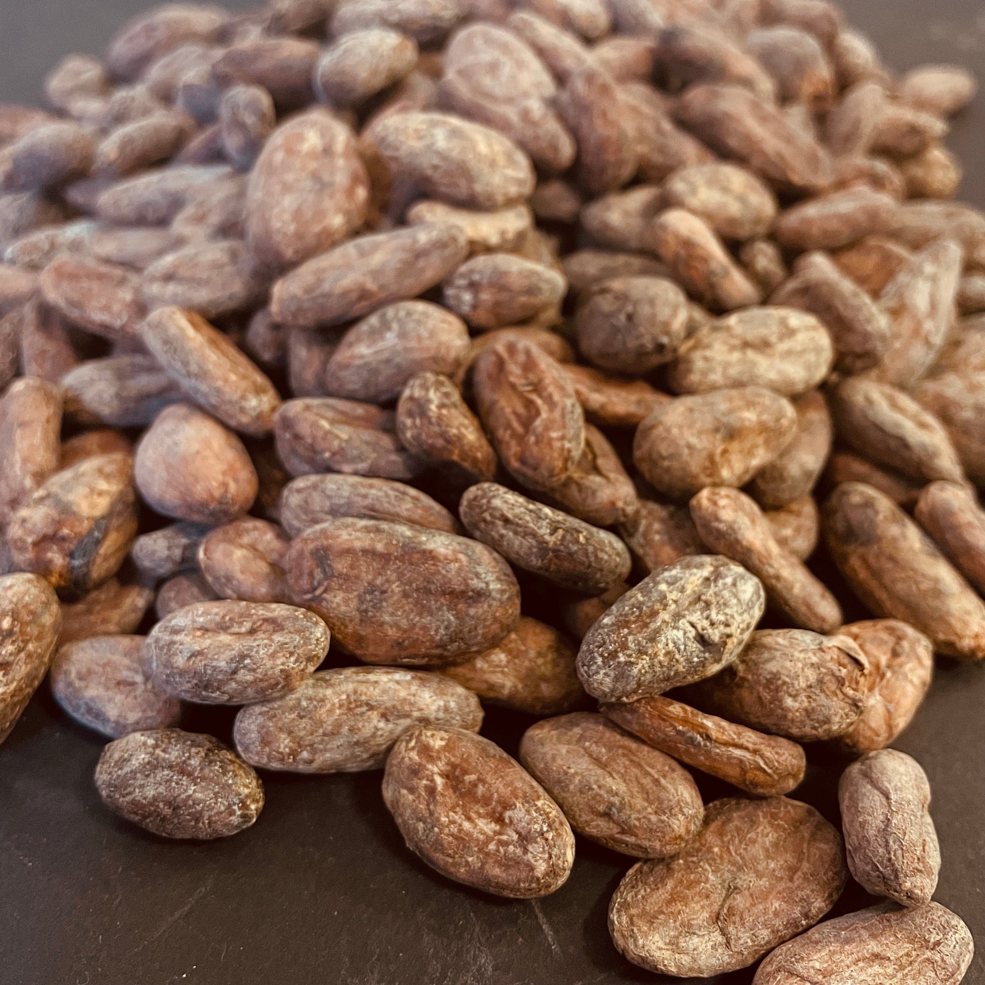 Close-up of Dominican Republic Zorzal cacao beans