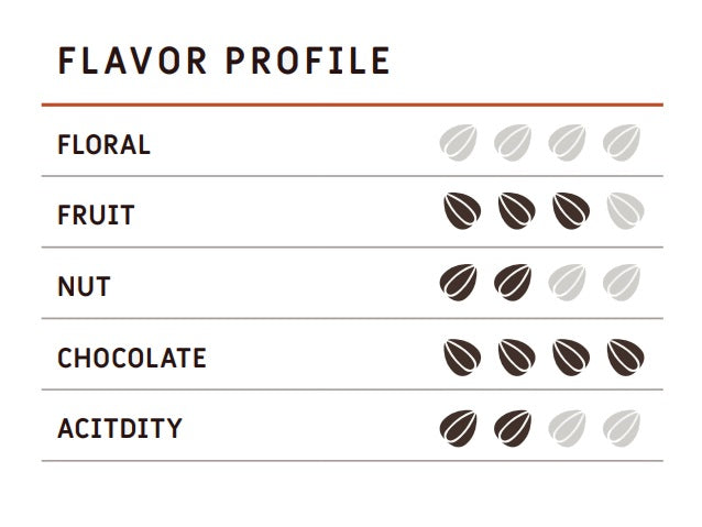 Colombia Boyaca 2023 Cacao Latitudes