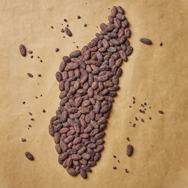 Cocoa beans arranged in a leaf shape on a brown background
