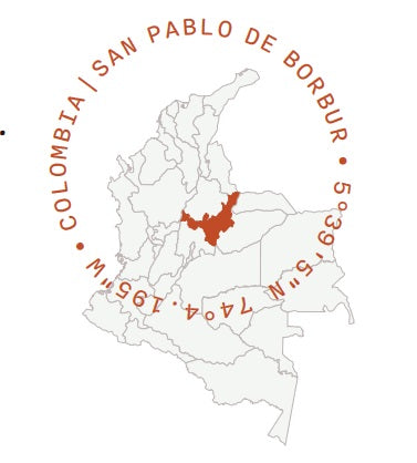 Colombia Boyaca 2023 Cacao Latitudes