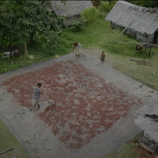 Vanuatu Malekula Island 2026