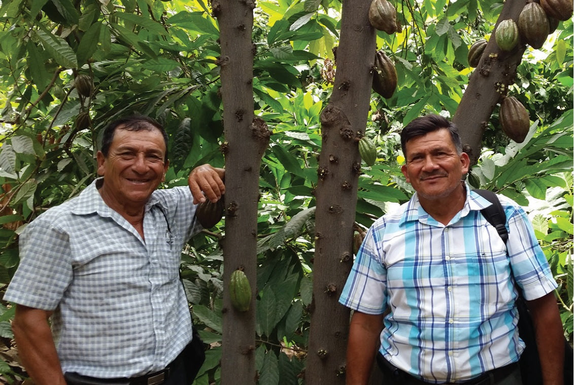 Peru Piura - 2021 Organic - Cacao Latitudes