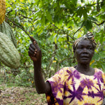 Uganda Semuliki Forest Direct Trade  2025 Organic