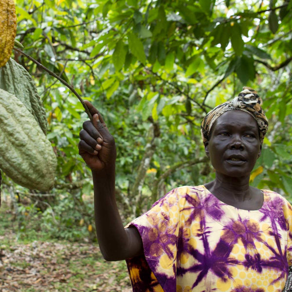 Uganda Semuliki Forest Direct Trade Organic 2025