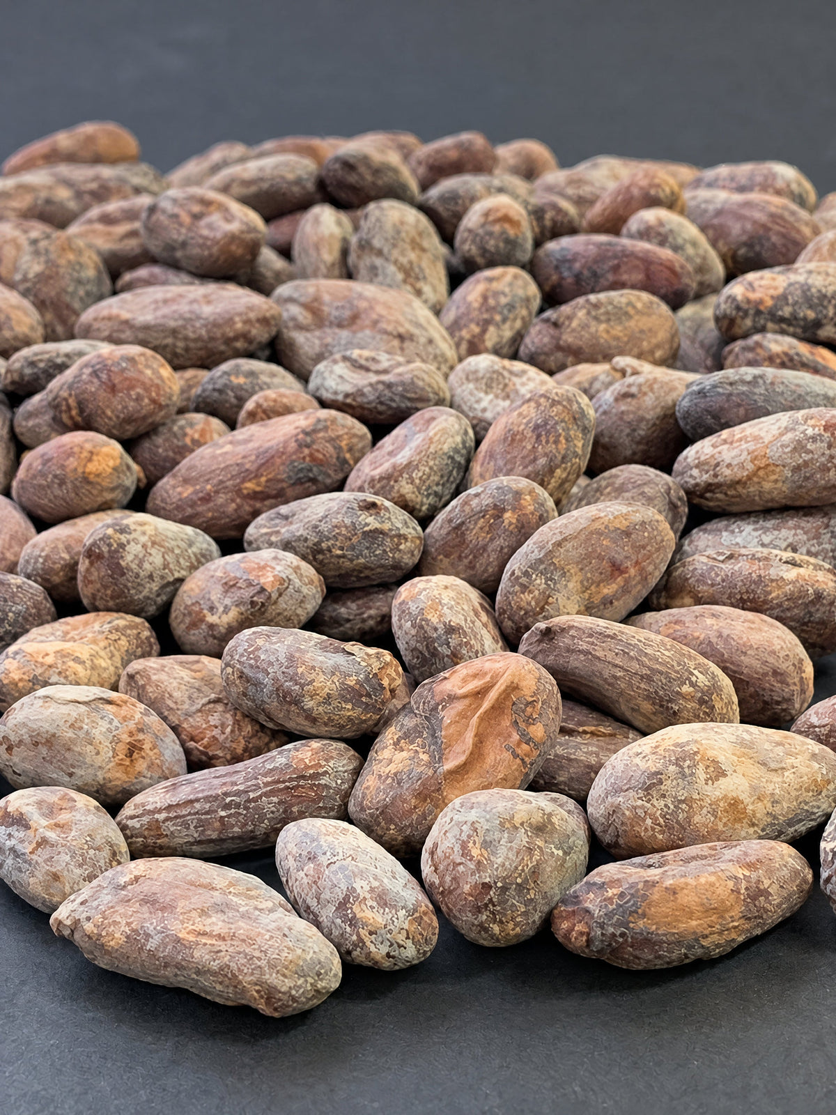 Close-up of Bolivia Alto Beni Walikeewa cacao beans.