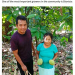 Oaxaca Lavados