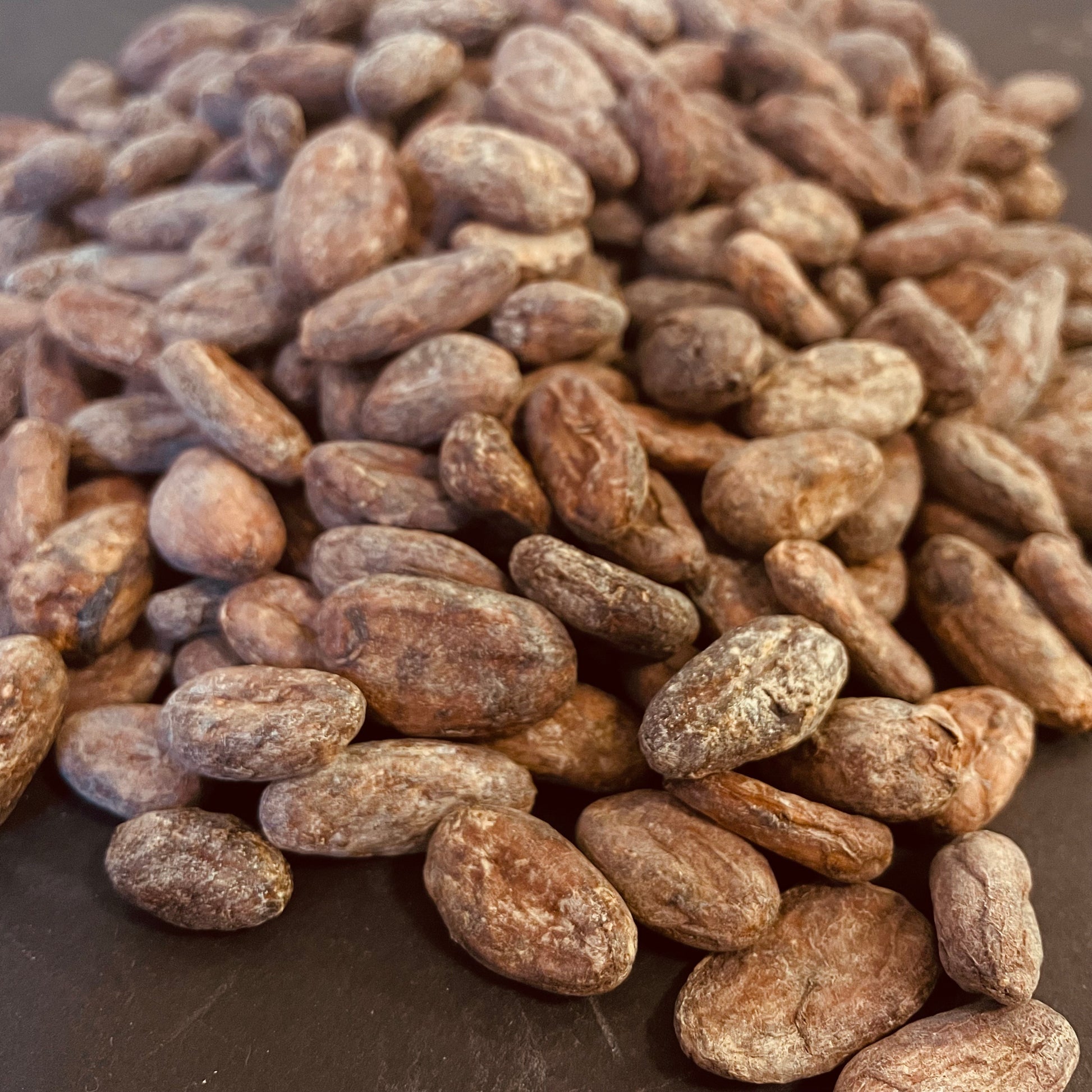 Dominican Republic Zorzal Direct trade Organic 2025