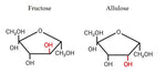 Allulose - an alternative sugar - Clumpy